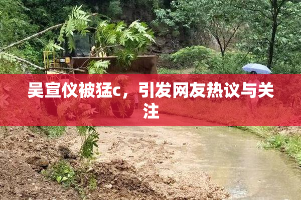 吴宣仪被猛c，引发网友热议与关注