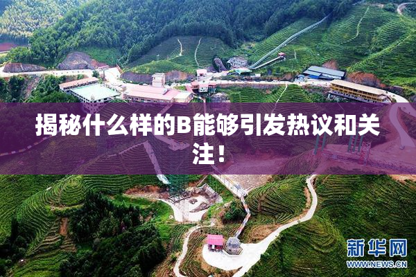 揭秘什么样的B能够引发热议和关注！