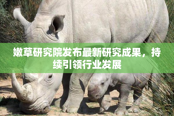 嫩草研究院发布最新研究成果，持续引领行业发展