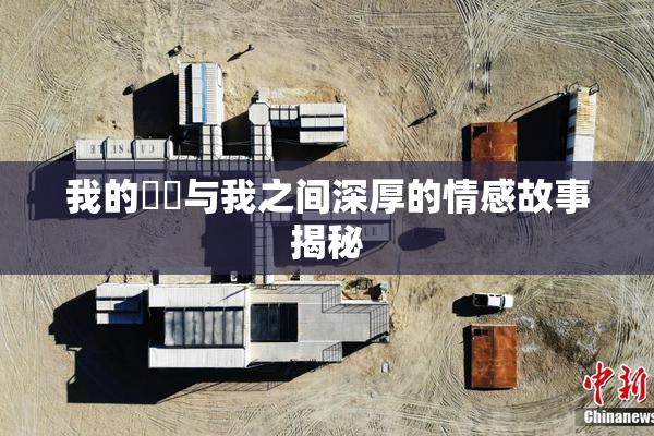 我的妺妺与我之间深厚的情感故事揭秘