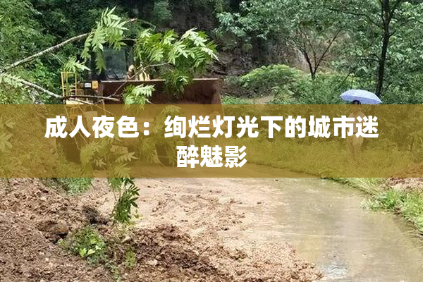 成人夜色：绚烂灯光下的城市迷醉魅影