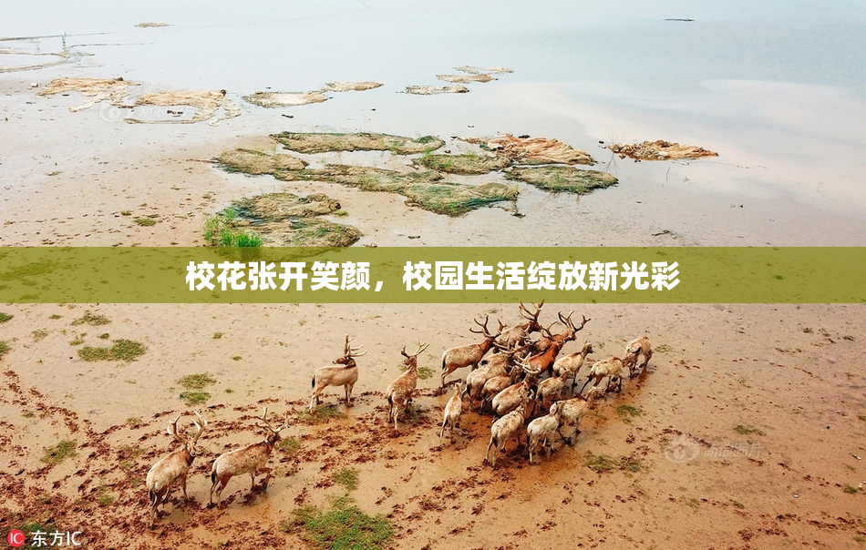 校花张开笑颜，校园生活绽放新光彩