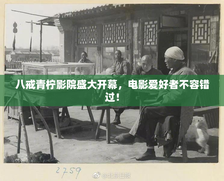 八戒青柠影院盛大开幕，电影爱好者不容错过！