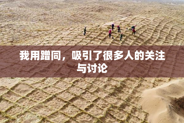 我用蹭同，吸引了很多人的关注与讨论