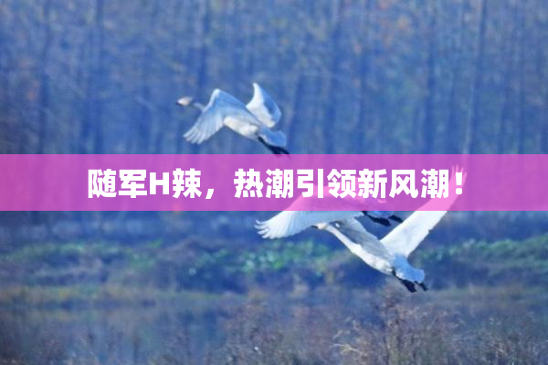 随军H辣，热潮引领新风潮！