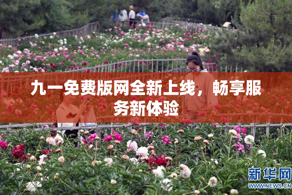 九一免费版网全新上线，畅享服务新体验