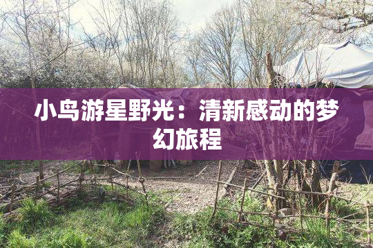 小鸟游星野光：清新感动的梦幻旅程