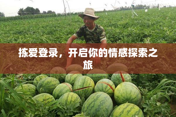 拣爱登录，开启你的情感探索之旅