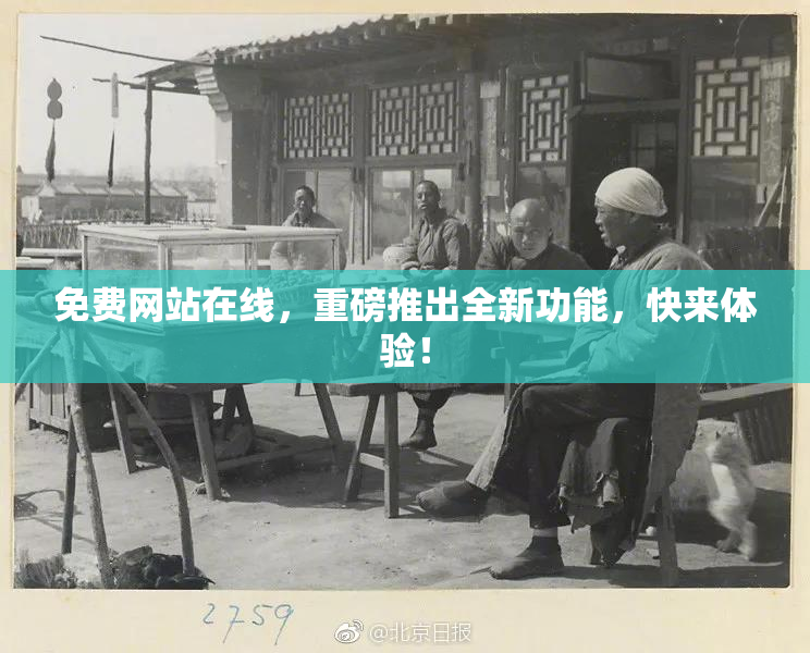 免费网站在线，重磅推出全新功能，快来体验！