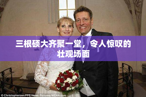 三根硕大齐聚一堂，令人惊叹的壮观场面