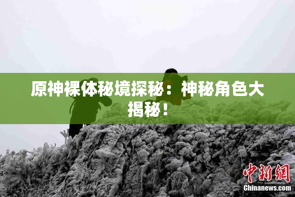 原神裸体秘境探秘：神秘角色大揭秘！