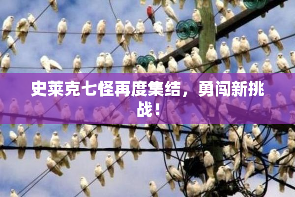 史莱克七怪再度集结，勇闯新挑战！