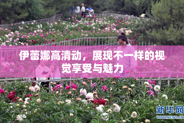 伊蕾娜高清动，展现不一样的视觉享受与魅力