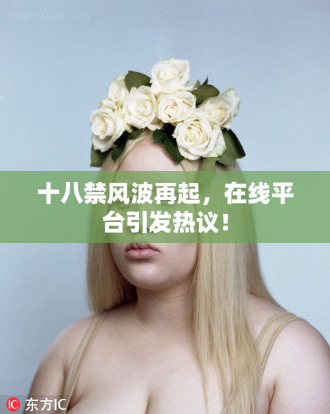 十八禁风波再起，在线平台引发热议！