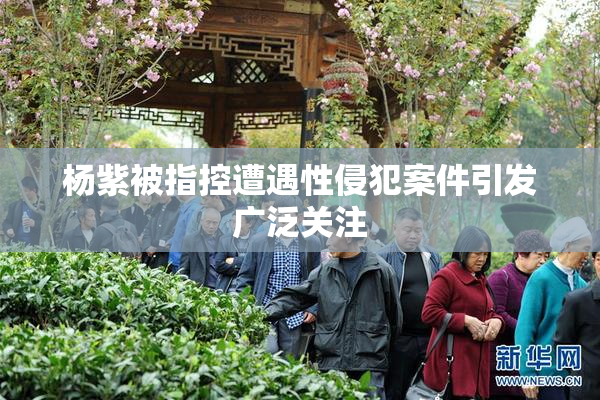 杨紫被指控遭遇性侵犯案件引发广泛关注