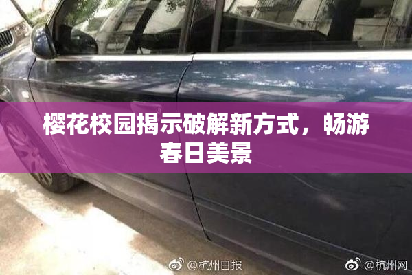 樱花校园揭示破解新方式，畅游春日美景