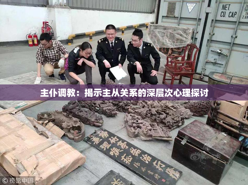 主仆调教：揭示主从关系的深层次心理探讨