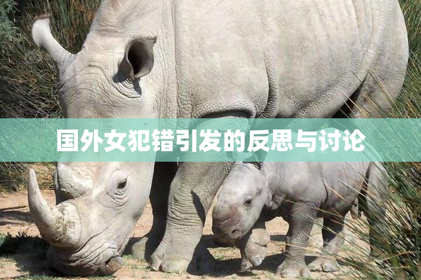 国外女犯错引发的反思与讨论