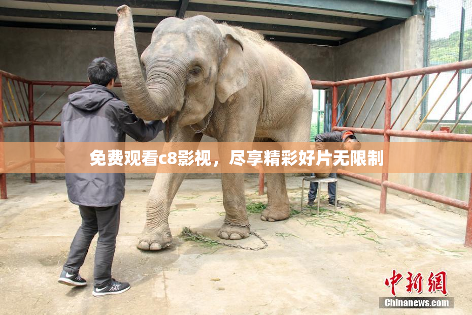 免费观看c8影视，尽享精彩好片无限制