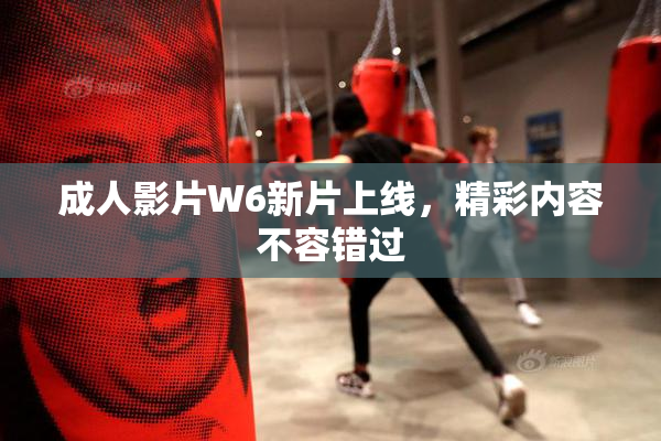 成人影片W6新片上线，精彩内容不容错过