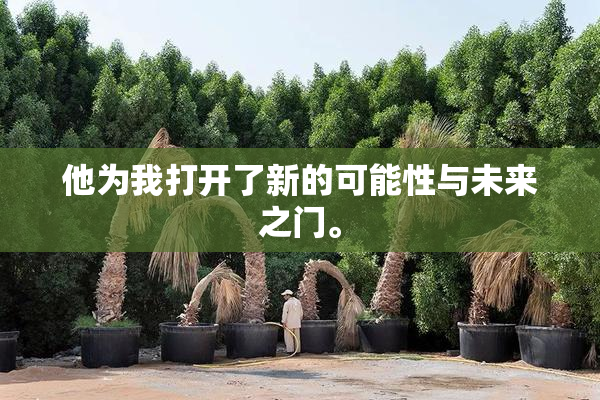 他为我打开了新的可能性与未来之门。