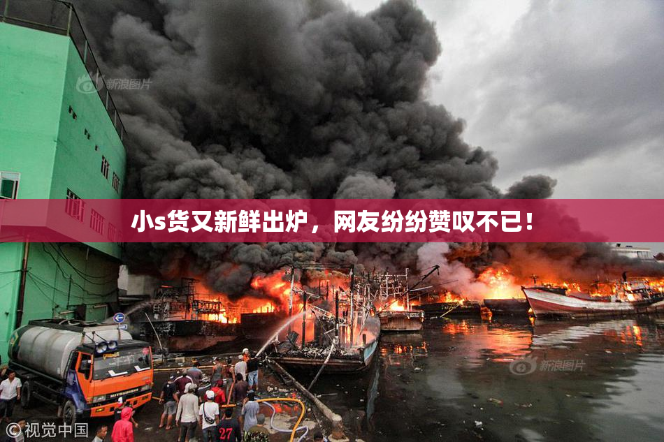 小s货又新鲜出炉，网友纷纷赞叹不已！