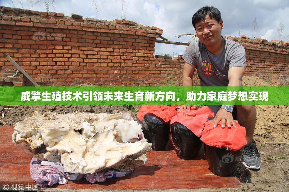 威擎生殖技术引领未来生育新方向，助力家庭梦想实现