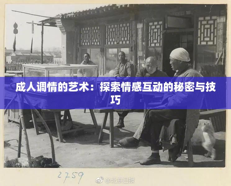 成人调情的艺术：探索情感互动的秘密与技巧