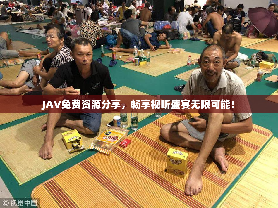 JAV免费资源分享，畅享视听盛宴无限可能！
