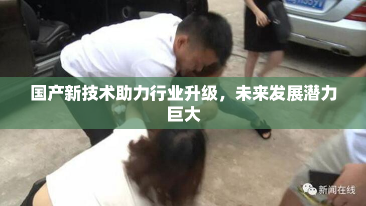 国产新技术助力行业升级，未来发展潜力巨大