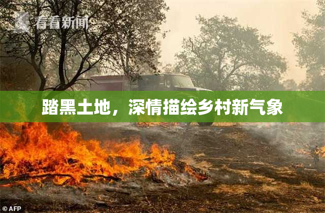 踏黑土地，深情描绘乡村新气象