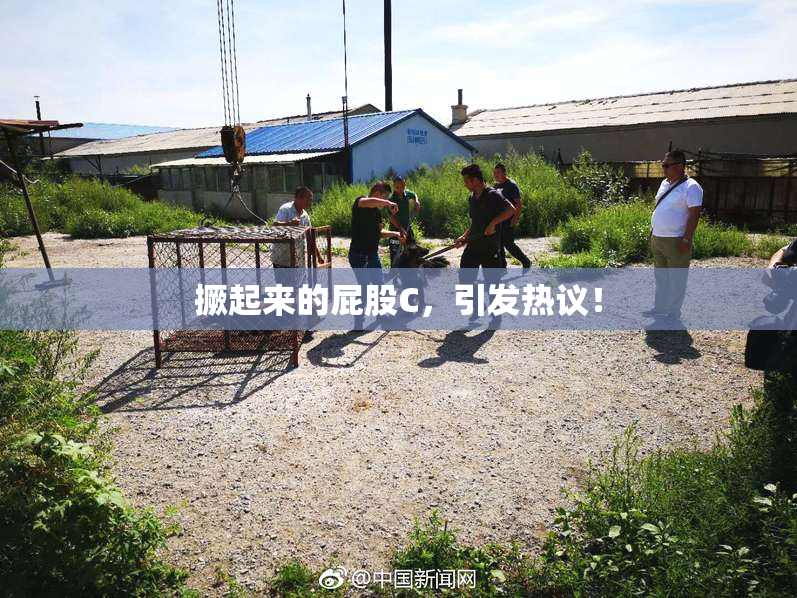 撅起来的屁股C，引发热议！