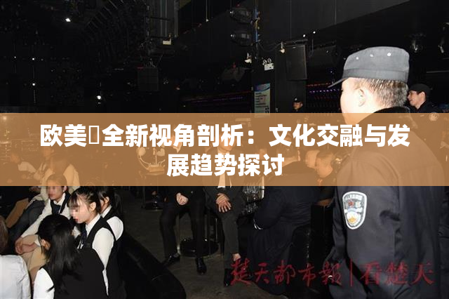 欧美巜全新视角剖析：文化交融与发展趋势探讨