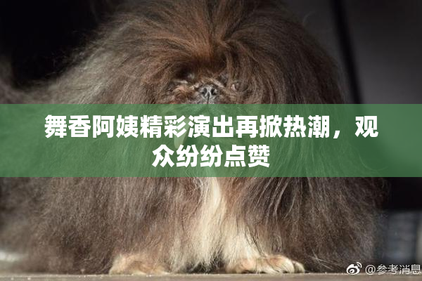 舞香阿姨精彩演出再掀热潮，观众纷纷点赞