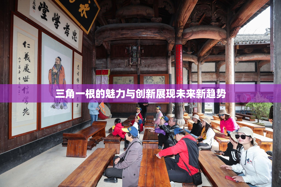 三角一根的魅力与创新展现未来新趋势