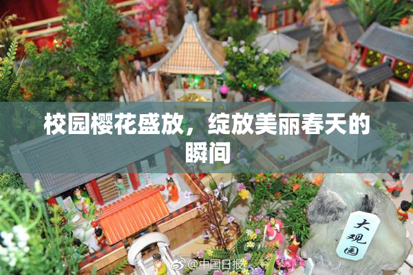 校园樱花盛放，绽放美丽春天的瞬间