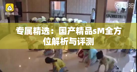 专属精选：国产精品sM全方位解析与评测