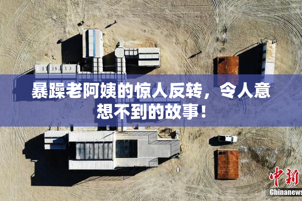 暴躁老阿姨的惊人反转，令人意想不到的故事！