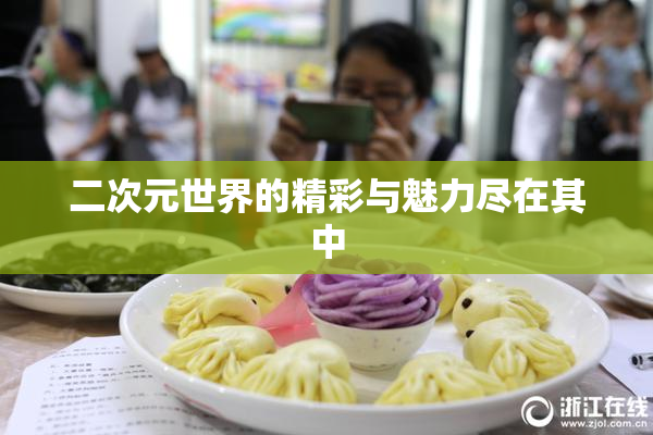 二次元世界的精彩与魅力尽在其中