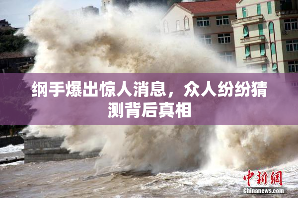 纲手爆出惊人消息，众人纷纷猜测背后真相