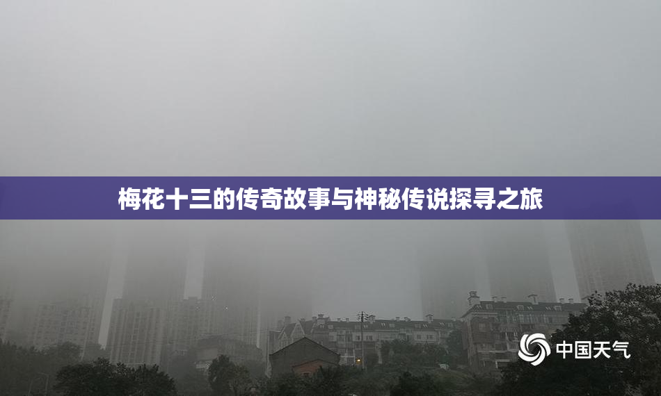 梅花十三的传奇故事与神秘传说探寻之旅