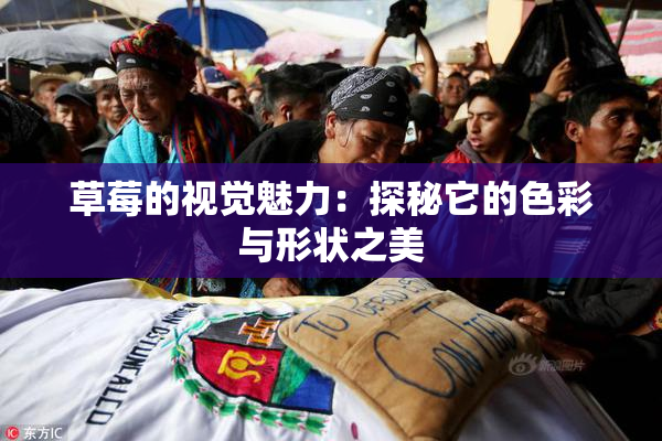 草莓的视觉魅力：探秘它的色彩与形状之美
