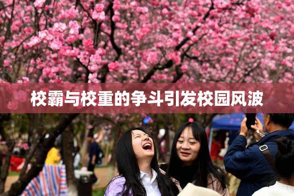 校霸与校重的争斗引发校园风波