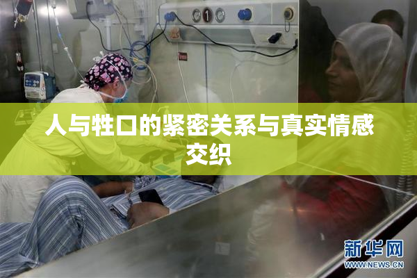 人与牲口的紧密关系与真实情感交织