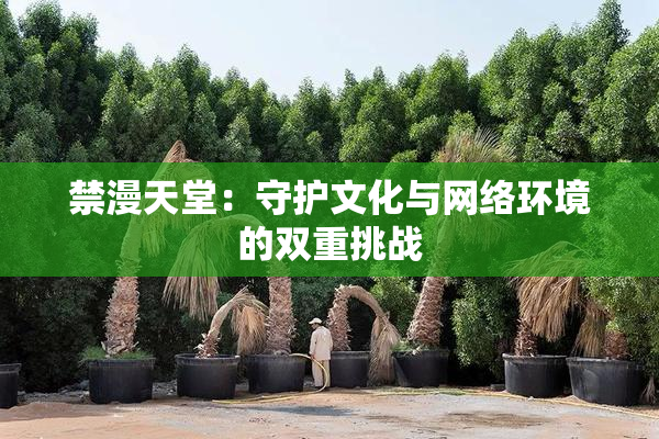 禁漫天堂：守护文化与网络环境的双重挑战