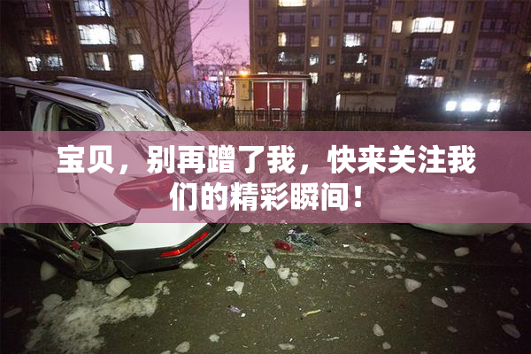 宝贝，别再蹭了我，快来关注我们的精彩瞬间！