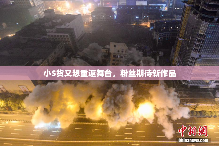 小S货又想重返舞台，粉丝期待新作品