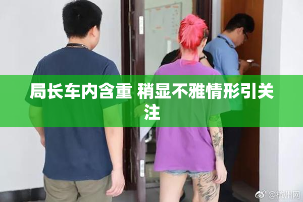 局长车内含重 稍显不雅情形引关注