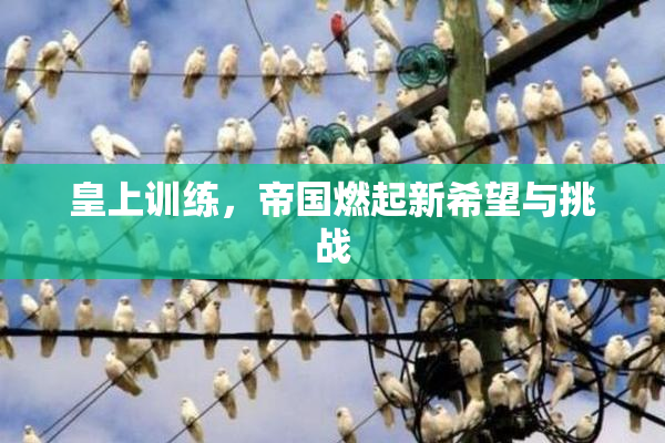 皇上训练，帝国燃起新希望与挑战