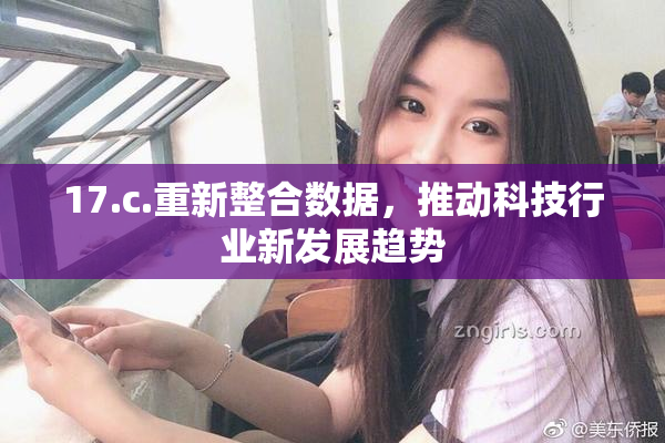17.c.重新整合数据，推动科技行业新发展趋势